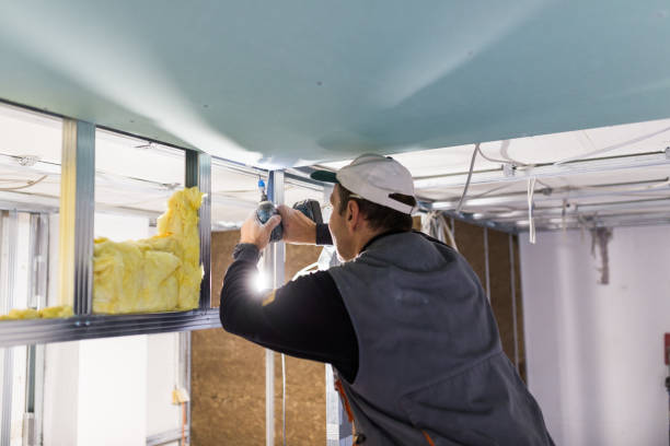 Best Professional Insulation Contractor  in Exmore, VA